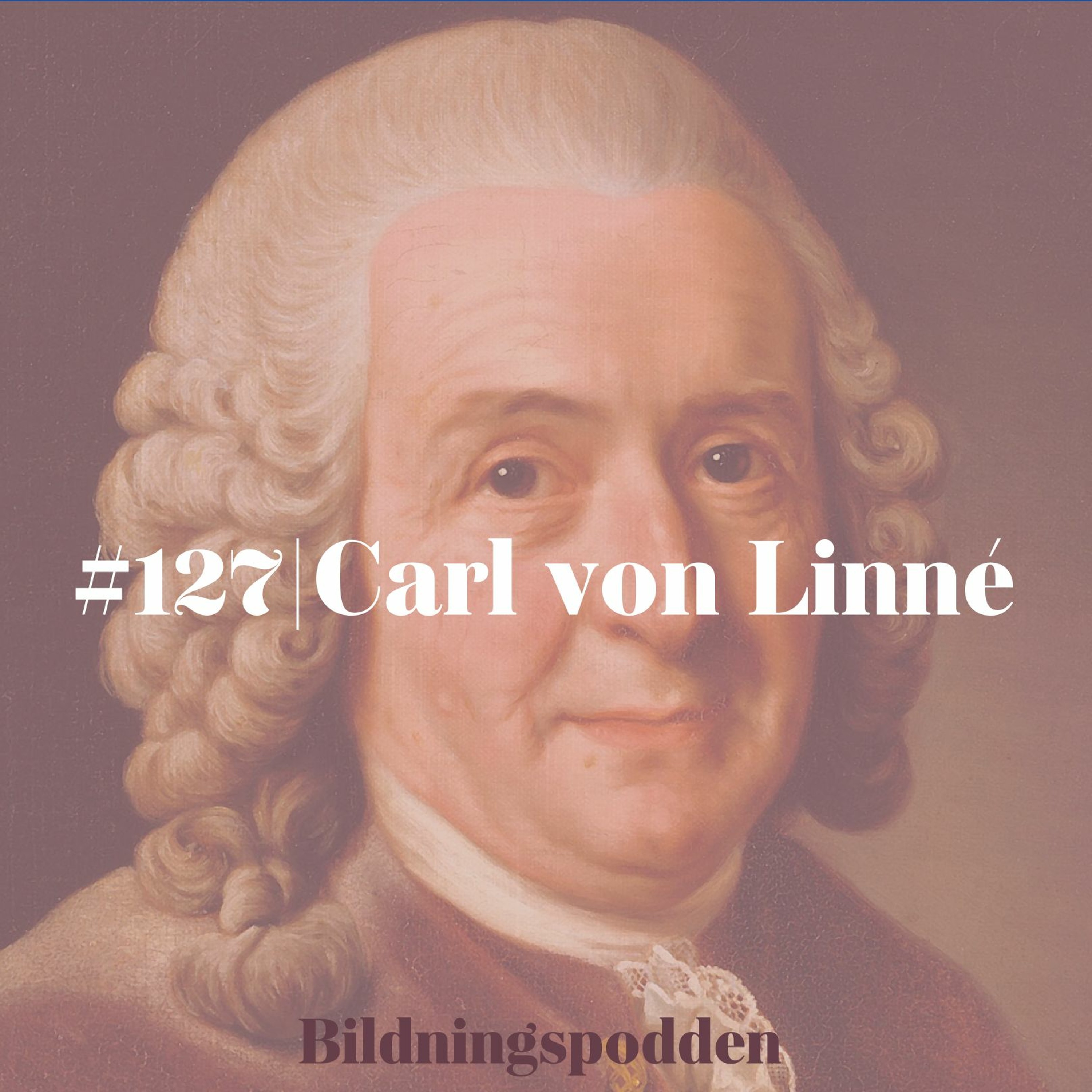 Bildningspodden