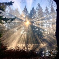 Neatherrealm (scarlet)