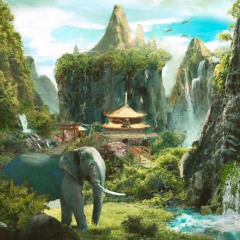 corn wave-rice fields