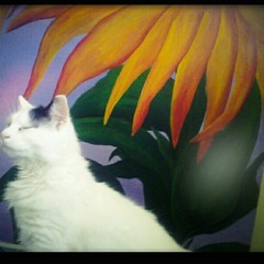 Form Of A Hand Being Held