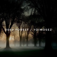 Deep Forest(Sample)