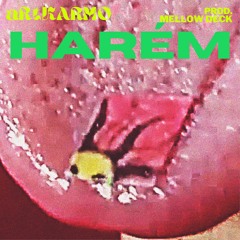 Harém (Prod. Mellow Deck)