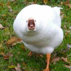 TREFUGO 90mph Remix - Relaxing Lofi Beat