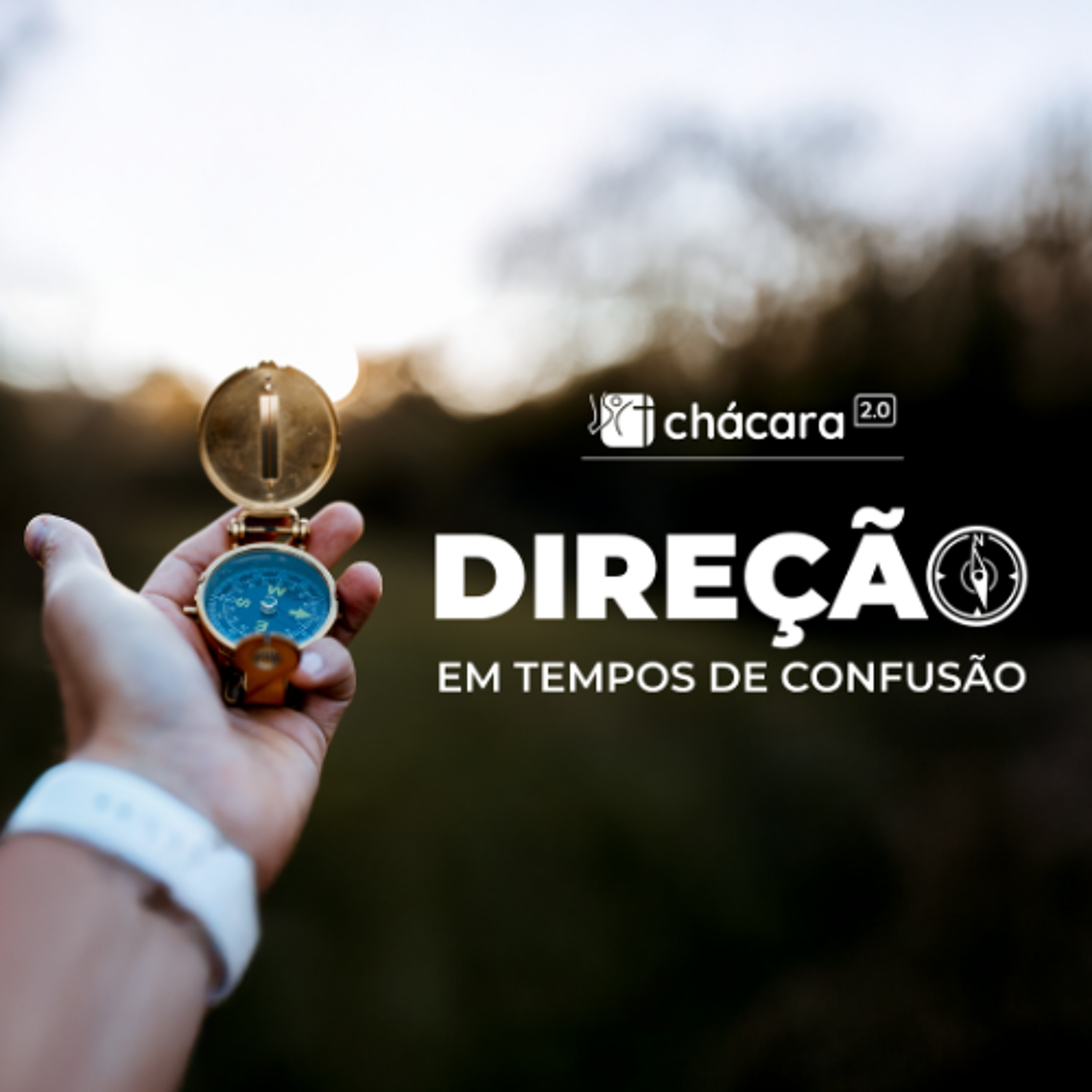 Chácara Primavera │ Direção em Tempo de Confusão - O Coração da Lei