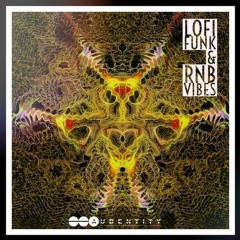 Audentity Records - Lofi Funk X RNB Vibes