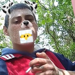 CAIXINHADESEGREDOMCSilv.mp3
