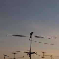 D!EOUT - นั่งเอ็นจอยในศาลา