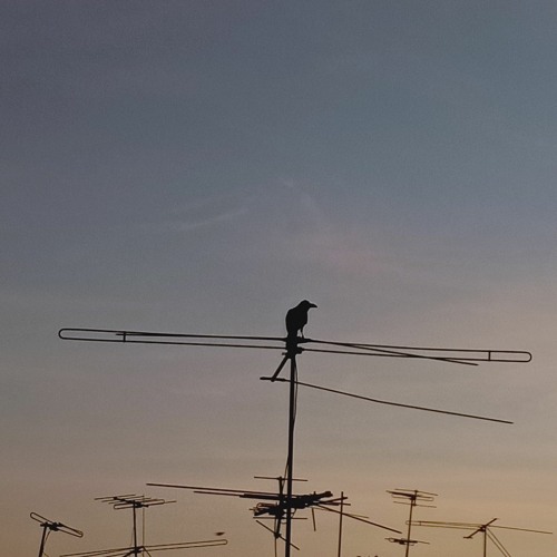 D!EOUT - นั่งเอ็นจอยในศาลา