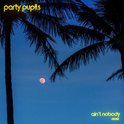 Chaka Khan - Ain't Nobody (Party Pupils Remix)
