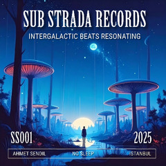 Ahmet Sendil - No Sleep