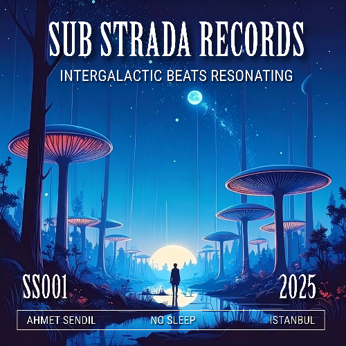 Ahmet Sendil - No Sleep