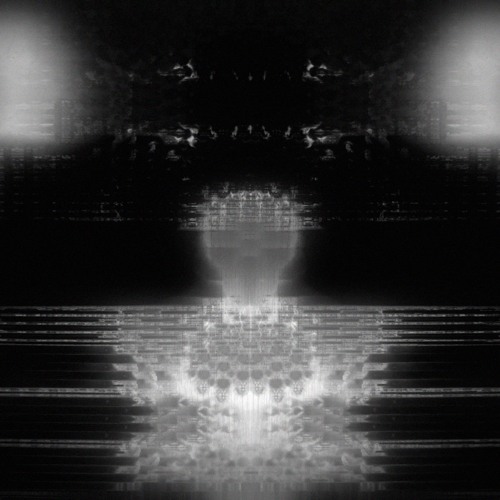 CRUDE Premiere: trillosta - transient