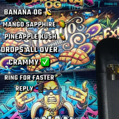POZER X JS X YD FREESTLYE