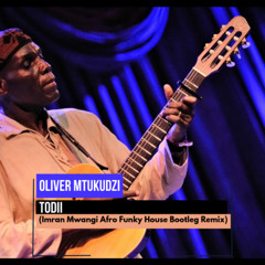 Oliver Mtukudzi - Todii (Imran Mwangi Afro Funky House Bootleg Remix)