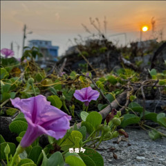 20250702白沙屯晨之聲