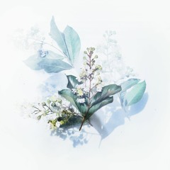 Tôi Chỉ Muốn Nói Cover by Pine