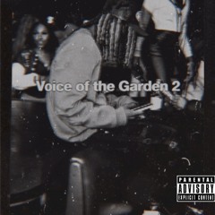 Des - Becoming A Star (Ft. Davo)