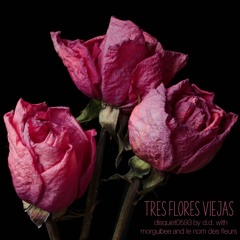 Tres Flores Viejas (with morgulbee & Le Nom Des Fleurs) - disquiet0593