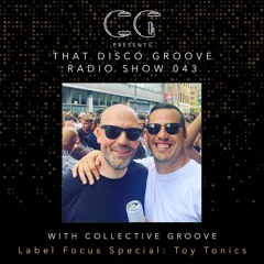 Collective Groove on That Disco Groove Radio Show 043
