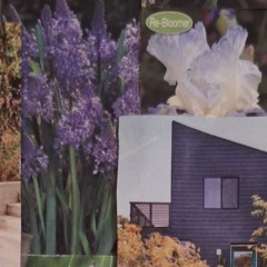 vulture city cover.m4a