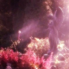 Outside Observer - Hollow Heart