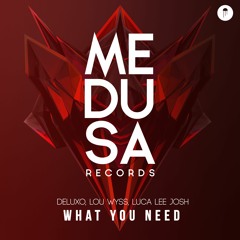 Deluxo, Lou Wyss, Luca Lee Josh - What You Need