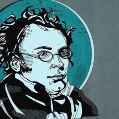 Franz Schubert - Ave Maria Remix
