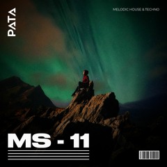 MS - 11