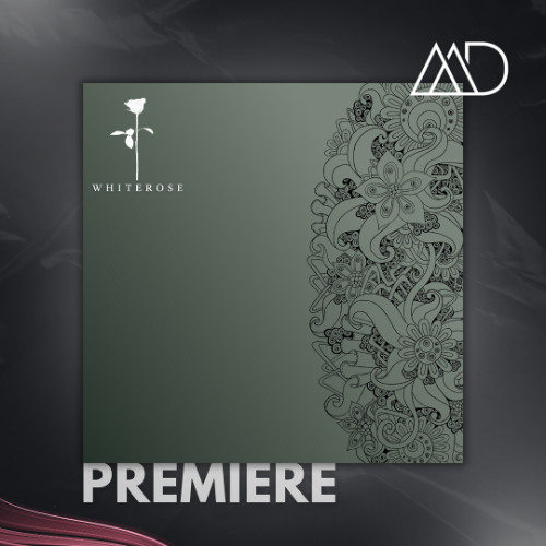 PREMIERE: Pablo Goyesi - Feel You (Original Mix) [White Rose]