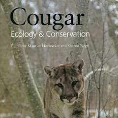 Grown (cougars)