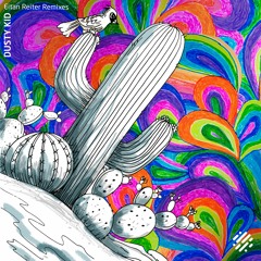 PREMIERE: Dusty Kid - Psika (Eitan Reiter Remix) [Digital Structures]