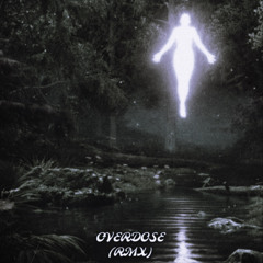 OverDoze (fz=rmx)