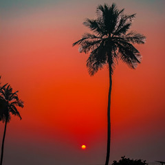 Sunset Groove - Vol. 1