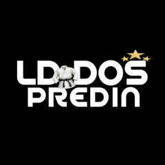 SABE A CARA DE SEM GRAÇA X PILANTRAGEM - DJ LD DOS PREDIN