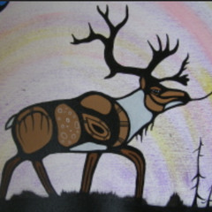 Caribou Summer