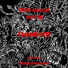 BDH sound Vol.119 freedom.WAV