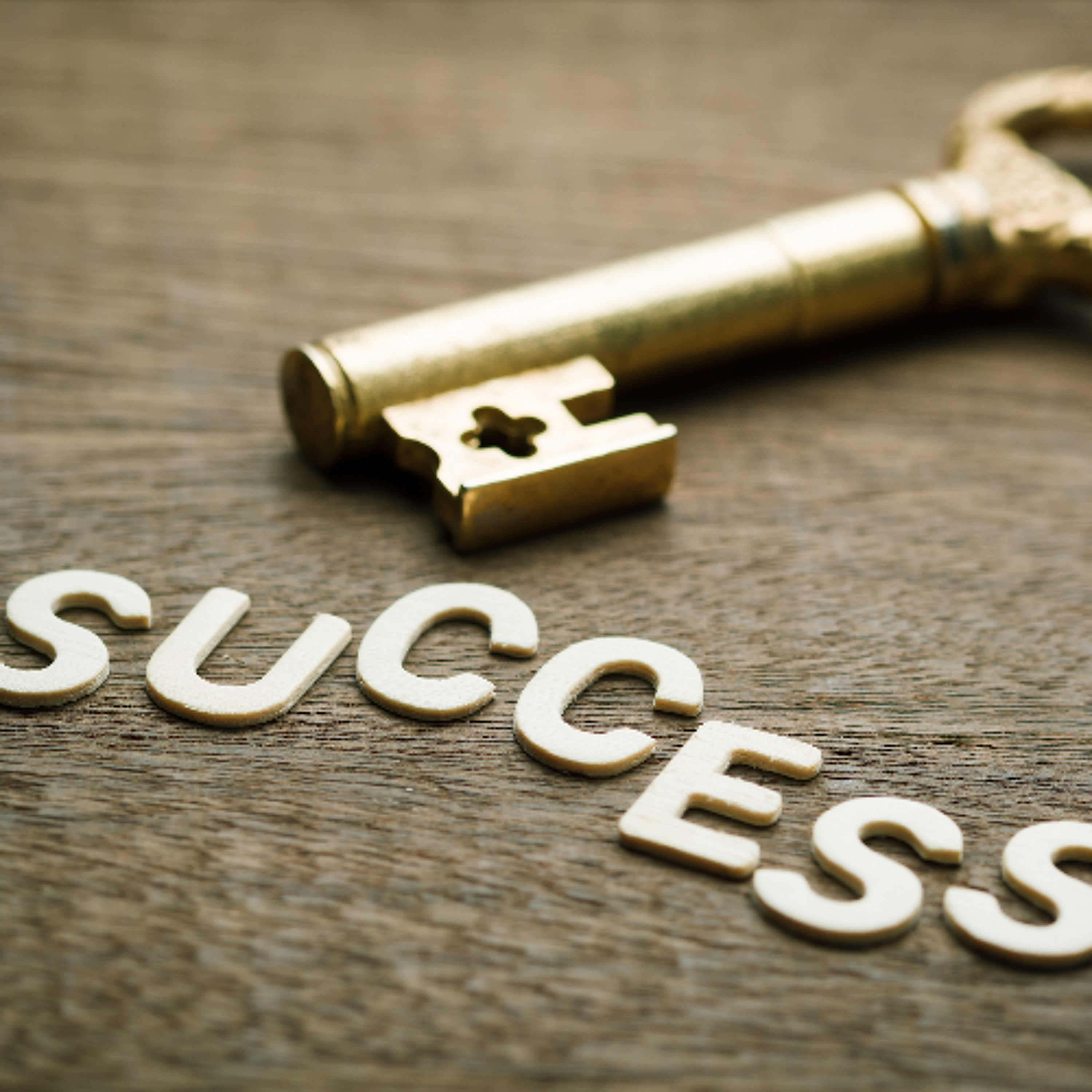 THE KEY TO SUCCESS THE KEY TO SUCCESS