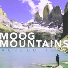 MOOG MOUNTAINS [WAXI PRIEST MIX]