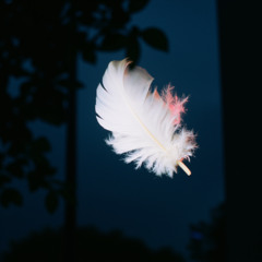 Lucid Frame