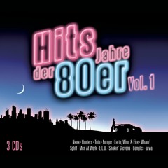 Techno Hits 80/90er - 8