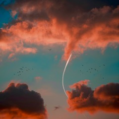 🌄🎇