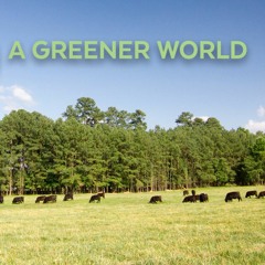Greenerwarp