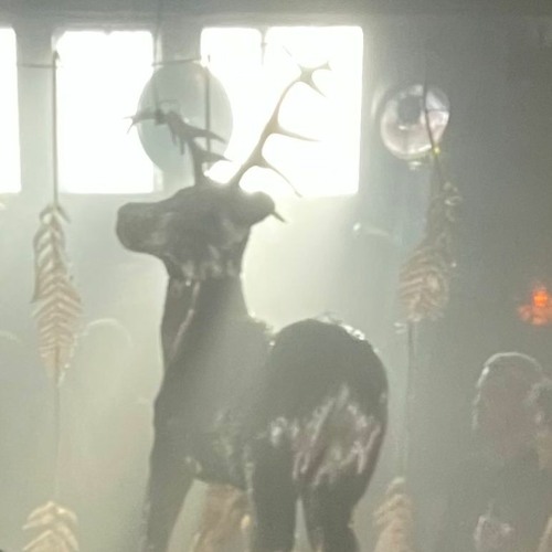 AERA auf der Jagd @ HIVE 10/2023