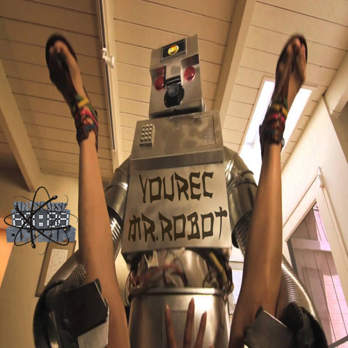 Mr.Robot