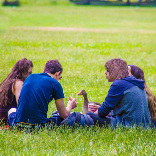 Friends