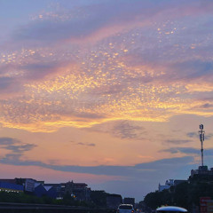 CẨM TÚ CẦU  - KIỀU CHI COVER