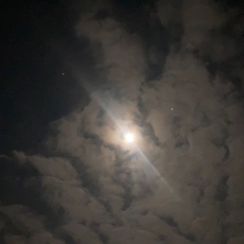 cut free (prod. michael Harrison)