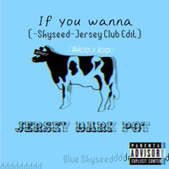 If You Wanna ( - Skyseed - Jersey Club Edit)