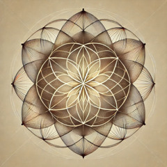 flower  _ liveset 2506