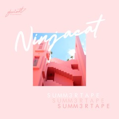 Ninjacat feat. VHS Store - pink sky